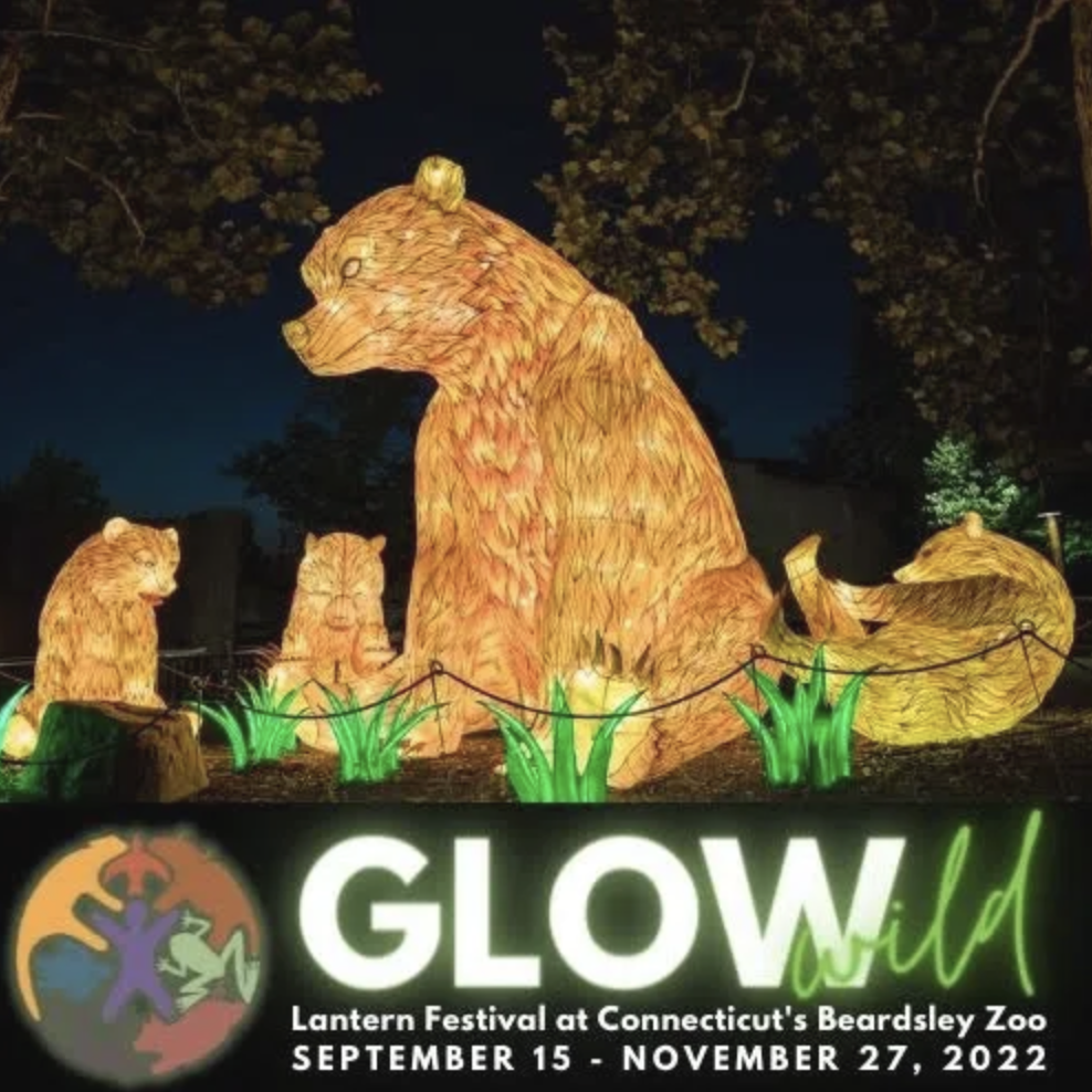 Glow Wild Lantern Festival at CT Beardsley Zoo