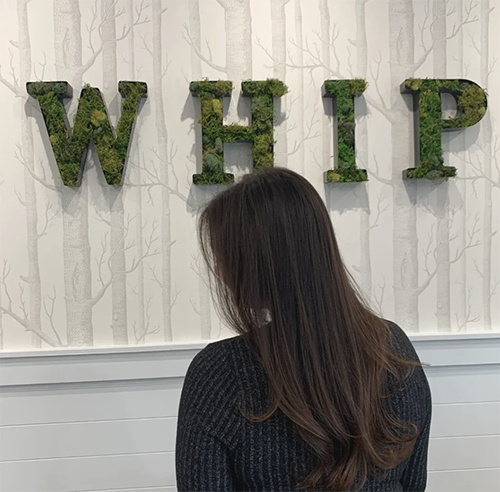 #GetWhipped at Whip Salon in Fairfield County!