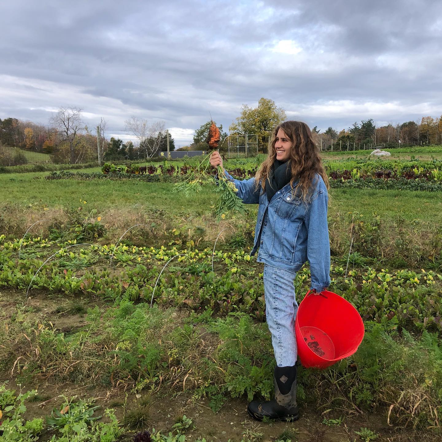 Enjoy the Harvest Celebration and Fall Foliage @ Husky Meadows Farm Stay