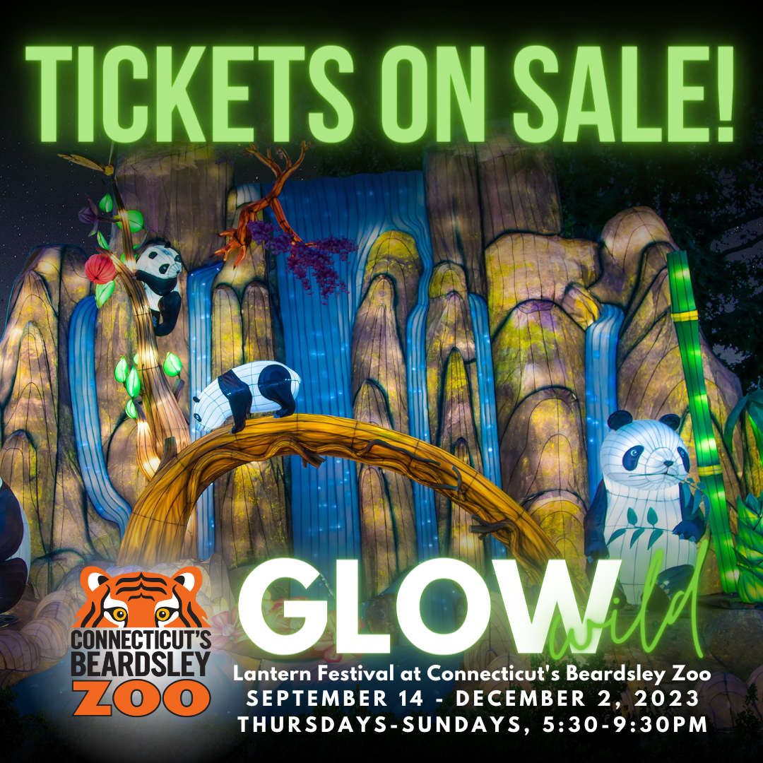 Tickets on Sale now for Glow Wild Lantern Festival at CT’s beardsley Zoo!