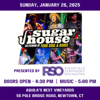 RSO Sugar House Funk, Soul & Dance Night