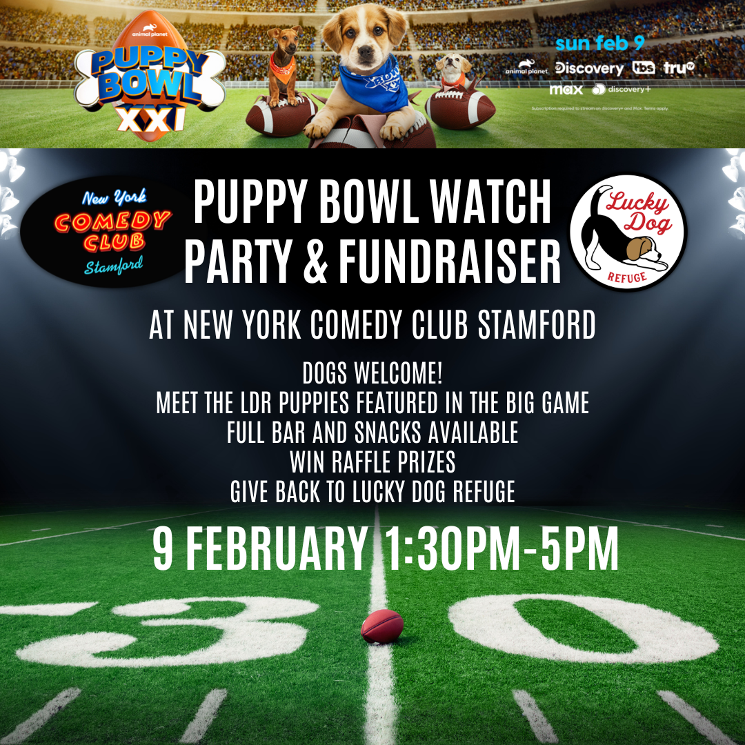 Lucky Dog Refuge Puts Paws in the Spotlight with Two Rescue Puppies in Puppy Bowl XXI on Animal