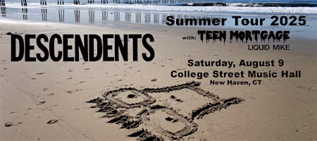 Descendents with Teen Mortgage and Liquid Mike