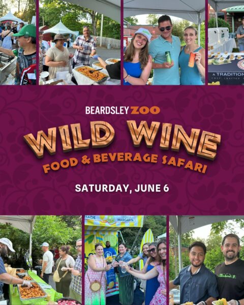 Beardsley Zoo’s Wild Wine, Food & Beverage Safari Returns for Its 20th Anniversary on Saturday, June 6th